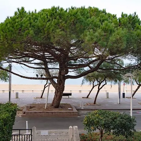 En 1ere Ligne Face A La Mer Lägenhet